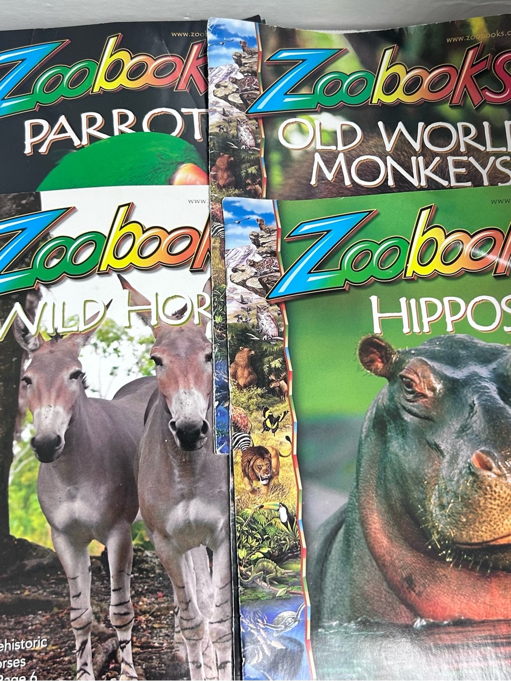 VTG-Lot of 4 Zoobooks Magazines-Hippos, Horses, Monkeys, Parrots -1980s/90s